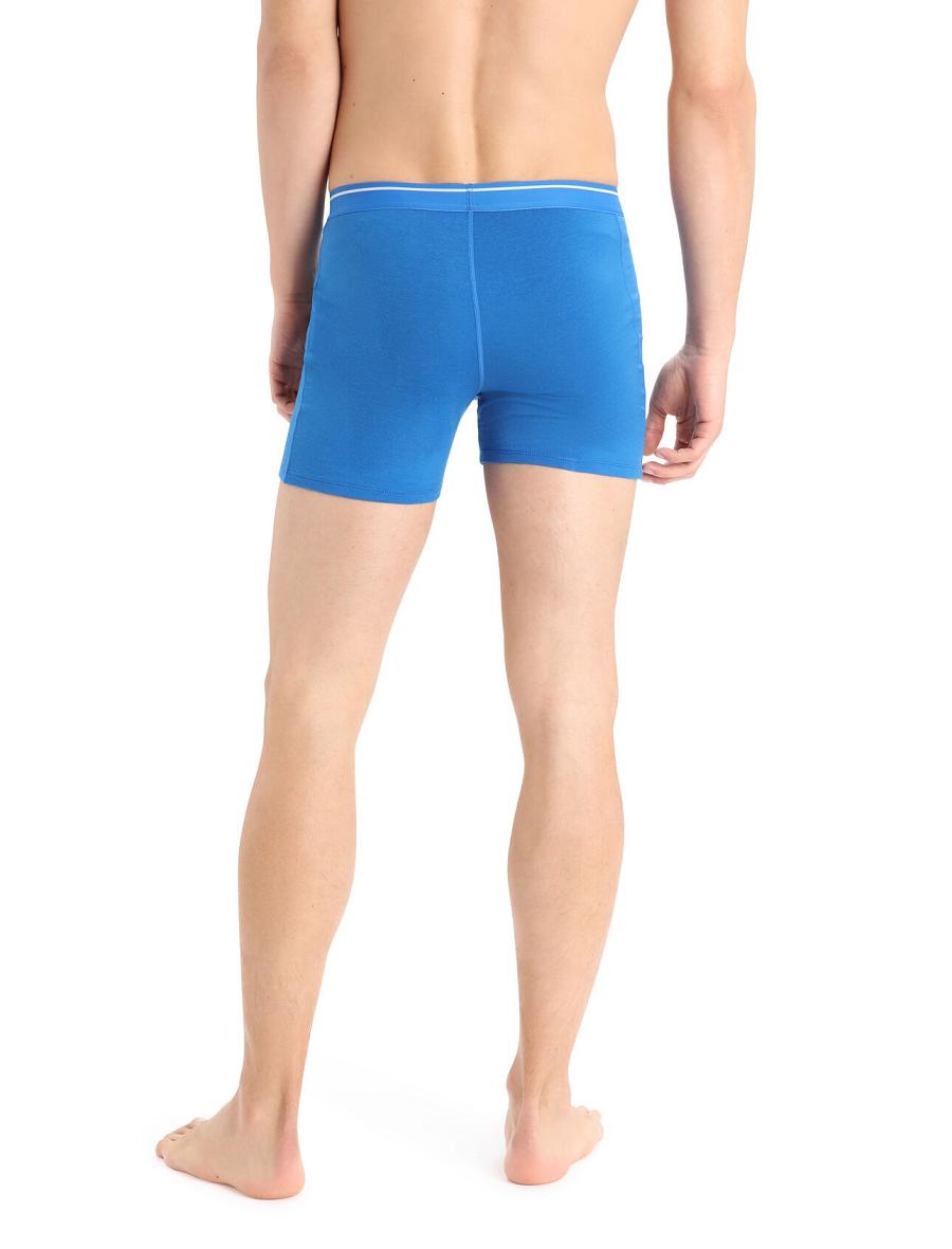 Lazurite Icebreaker Merino Anatomica Boxers Men's Underwear | AU 1311TCEV